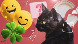 Насколько вы удачливы — тест