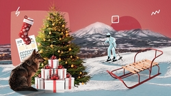 Покататься с горки, увидеть волков и сыграть в пейнтбол: как ставропольцам провести каникулы без телевизора и соцсетей