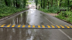 «Лежачих полицейских» установят на велодорожках в ставропольском парке