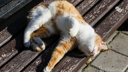 До +20 градусов потеплеет на Ставрополье к середине недели