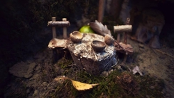 Сказочную деревню создали в национальном парке Кисловодска