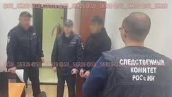Житель Ставрополья получил удар ножом в шею, пытаясь защитить сожительницу от насильника