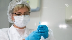 В Северной Осетии опровергли информацию о нападении волка на человека