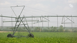 Площадь орошения сельхозземель  на Ставрополье превысила 105 тыс. га