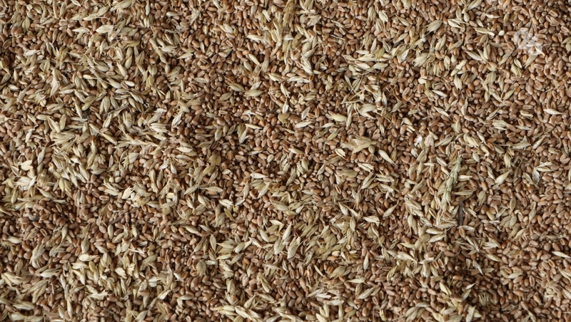 Ставрополье перевыполнило план по экспорту АПК на 3% в 2025 году