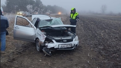 В Минводах водитель отечественной легковушки не справился с управлением и съехал в кювет 