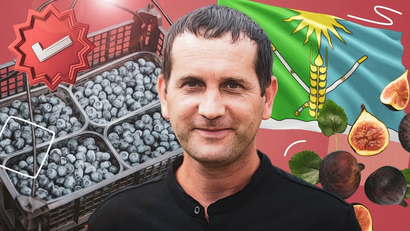 Плантатор из Ивановки: как ставропольский фермер наладил в южном крае производство голубики