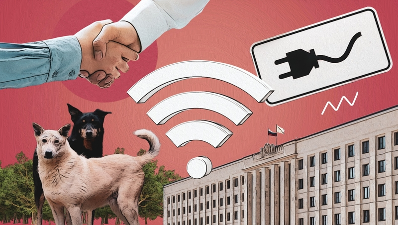 Заправки электромобилей и гибель лесополос: что обсуждали на заседании правительства Ставрополья