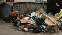 Губернатор Ставрополья взял на контроль вопрос о вывозе мусора в Ессентуках