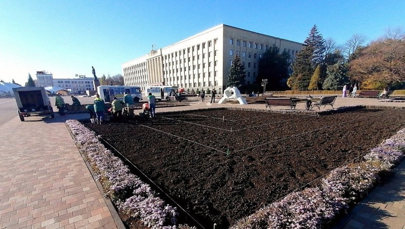 Свыше 200 тыс. цветов на клумбах Ставрополя проведут зиму в грунте