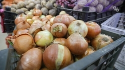 Лук на Ставрополье подорожал почти на 6% 