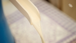 Почти 550 тыс. тонн молока получили животноводы Ставрополья