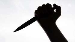 Жительница Железноводска проведёт пять лет в колонии за убийство сожителя