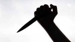 Ставропольца осудят за нападение с ножом на полицейского