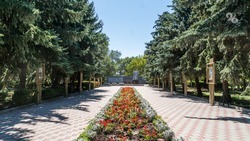 Благоустройство «Ореховой рощи» стартовало в Ставрополе