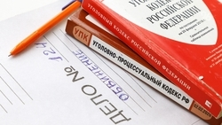 В Ингушетии будут судить шестерых россиян по обвинению в кибермошенничестве