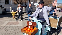 «Чебурашковый» турмаршрут создали в Кисловодске