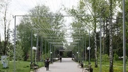 Более 500 фонарей заменили в Минеральных Водах  