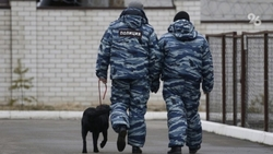 Образовательные организации Северной Осетии проверяют из-за угрозы минирования