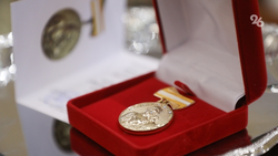 1,5 тыс. ставропольских матерей получили награду «Материнская слава» за 17 лет