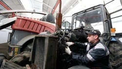 Свыше 41% кукурузных полей убрали на Ставрополье — губернатор