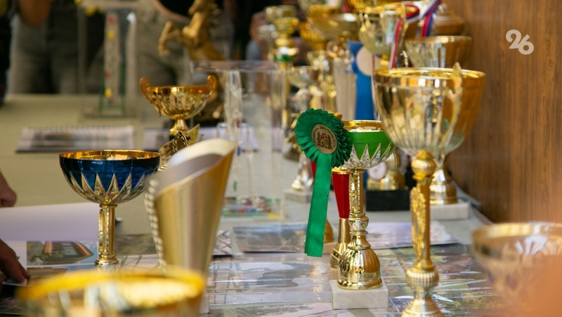 Школьник из Ставрополя стал призёром конкурса «Большая перемена»