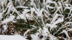 Спасатели МЧС предупредили ставропольцев о заморозках