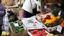 Первая весенняя ярмарка состоится в Ставрополе 1 марта 