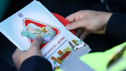 В ГИБДД рассказали, как приучить детей к автокреслу