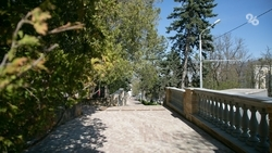 Ставрополь не вошёл в рейтинг самых зелёных городов России