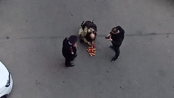 Сотрудники экстренных служб оцепили двор на улице Тухачевского в Ставрополе