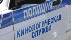 Угроза минирования санатория «Плаза» проверяется в Кисловодске