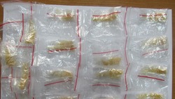 Двоих ставропольцев обвиняют в попытке продать 39 свёртков с наркотиками