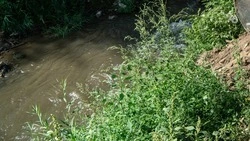 Кладбище в Минводах затопило после дождей и таяния снега на горе Змейка 