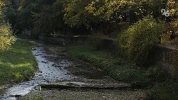 Комсомольский пруд в Минводах приведут в порядок по поручению губернатора