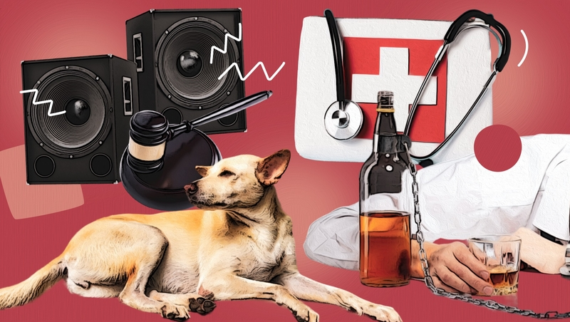 Закон о тишине, вытрезвители и собаки: какие инициативы одобрили в Думе Ставропольского края