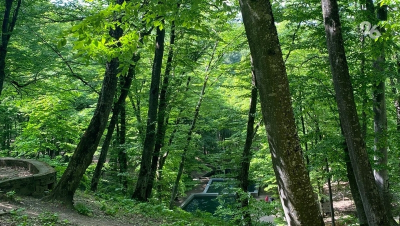 Ставропольцам грозят штрафы за разведение огня в лесах и поблизости от них