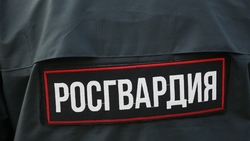 Потерявшегося на отдыхе школьника помогли вернуть родным сотрудники Росгвардии в Кисловодске 