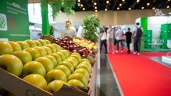 На площадке «МинводыЭКСПО» проходит международная выставка «Сады России 2025»