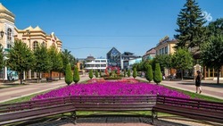 С начала года Кисловодск посетили более 100 тысяч туристов 