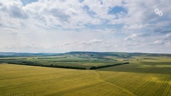 Более 2,1 миллиона гектаров полей на Ставрополье обработали от сорняков