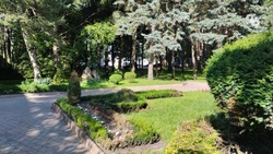 Экоактивисты предлагают восстановить розарий в Михайловске и сделать его сквером Дружбы российских регионов