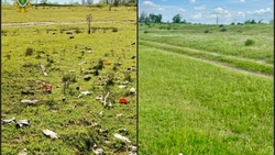 Незаконную свалку ликвидировали по требованию прокуратуры Ставрополья