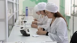 Медицина и IT стали самыми дорогими направлениями в ставропольских вузах