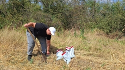 Проверяющие выявили десятки нарушений на сельхозземлях на Ставрополье и в КЧР