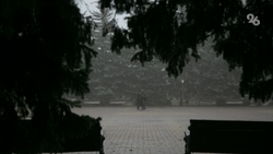 Заморозки ожидаются в некоторых территориях Ставрополья с 28 апреля 