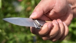 Жителя Ставрополья задержали по подозрению в ножевом ранении знакомой