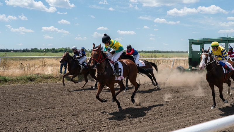 На Ставрополье прошли традиционные конно-спортивные соревнования