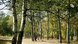 Мотоциклист заплатит за езду по заповеднику на Ставрополье