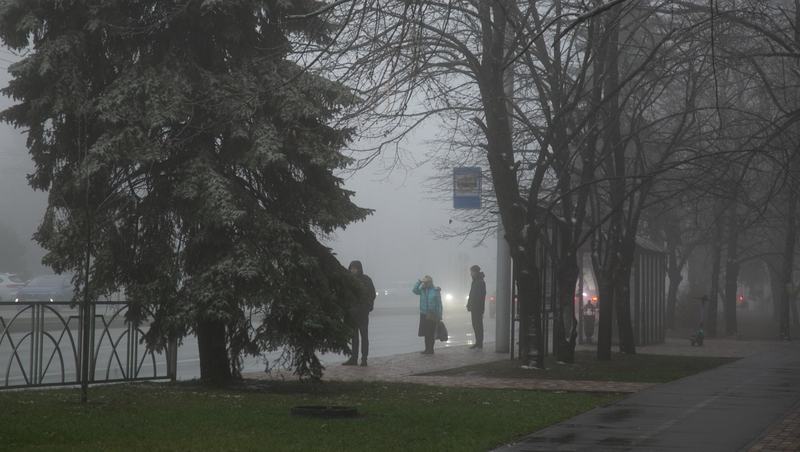 Автоинспекторы предупреждают о тумане в Александровском округе